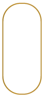 vector