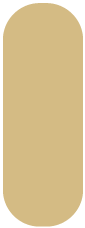 vector