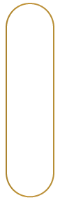 vector